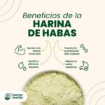 Beneficios de la harina de habas