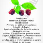 Beneficios de la hoja de frambuesa