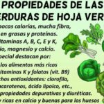 Beneficios de la hoja verde