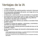 Beneficios de la Inseminación Artificial en Bovinos