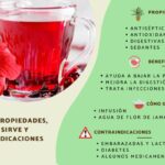 Beneficios de la jamaica: ¡Descubre sus múltiples beneficios!