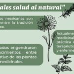 Beneficios de la medicina tradicional: salud natural