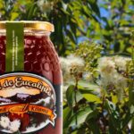 Beneficios de la miel y el eucalipto: una combinación natural poderosa