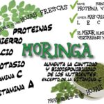 Beneficios de la moringa para los hombres