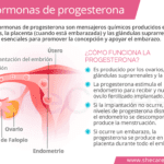 Beneficios de la progesterona para la salud femenina