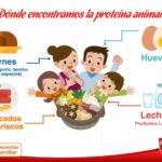 Beneficios de la proteína animal: carne-pescado y huevo