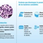 Beneficios de las bacterias