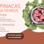 Beneficios de las espinacas para tu mascota