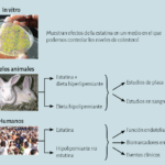 Beneficios de las estatinas