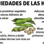 Beneficios de las habas tiernas