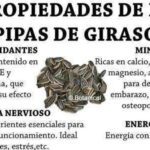 Beneficios de las pipas de girasol crudas