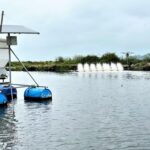 Beneficios de los alimentadores automáticos para camarones