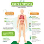 Beneficios de los lípidos