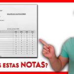 Beneficios de obtener la matrícula de honor en Bachillerato