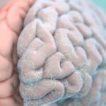 Beneficios de oxigenar tu cerebro