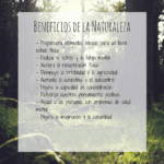 Beneficios de pasear