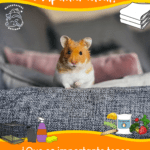 Beneficios de tener un hámster como mascota