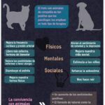 Beneficios de tener una mascota en casa