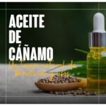 Beneficios del aceite de cáñamo: un tesoro para la salud