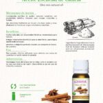 Beneficios del aceite de canela: potente aliado para tu bienestar