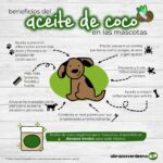 Beneficios del aceite de coco para tu perro
