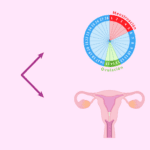 Beneficios del aceite de onagra para las mujeres