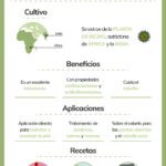 Beneficios del Aceite de Ricino para Combatir las Arrugas