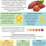 Beneficios del camote: ¡Descubre sus maravillas!