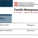Beneficios del carnet de familia monoparental