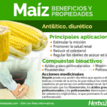 Beneficios del consumo de mazorca de maíz