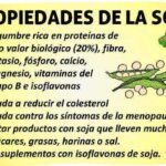 Beneficios del consumo de soja líquida