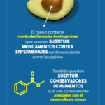 Beneficios del hueso de aguacate hervido