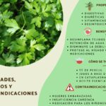 Beneficios del perejil en ayunas