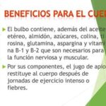 Beneficios del tallo de apio: ¡aprovecha sus propiedades!