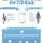 Beneficios del vaso de leche