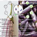 Beneficios increíbles de la berenjena morada