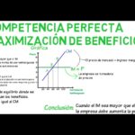 Beneficios infinitos: Competencia perfecta al alcance