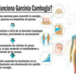 Beneficios infinitos de la Garcinia Cambogia