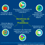 Beneficios probióticos: bacterias y hongos para tu salud