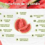 Beneficios refrescantes de la sandía para tu organismo