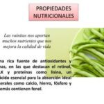 Beneficios saludables de la vainita