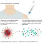 Beneficios sin límites: todo lo que necesitas saber sobre Pfizer