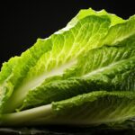 Beneficios sorprendentes de consumir agua con lechuga