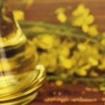 Beneficios sorprendentes de la canola