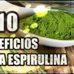 Beneficios sorprendentes de la espirulina orgánica