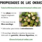 Beneficios sorprendentes de la okra