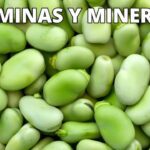 Beneficios sorprendentes de las habas fritas