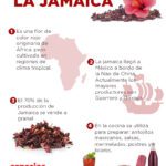 Beneficios sorprendentes del ayuno en Jamaica