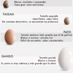 Beneficios sorprendentes del huevo de pato