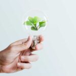 Beneficios variados: ¡Descubre todas las ventajas que puedes obtener!
